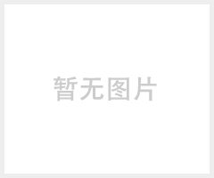 气相色谱仪